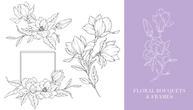 Dibujo de línea de magnolia Arte de línea floral Página de colorear flores Ilustración botánica dibujada a mano