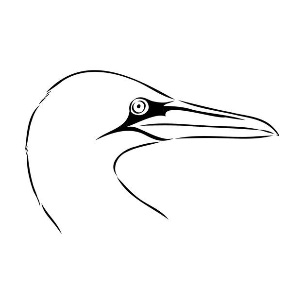dibujo de línea de pecho Ilustración en blanco y negro Vector