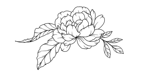 Dibujo de línea de peonía Rojas florales en blanco y negro Página de colorear de línea floral Arte de línea fina Ilustración de línea de Peonía Flores dibujadas a mano Coloración botánica Flores de invitación de boda