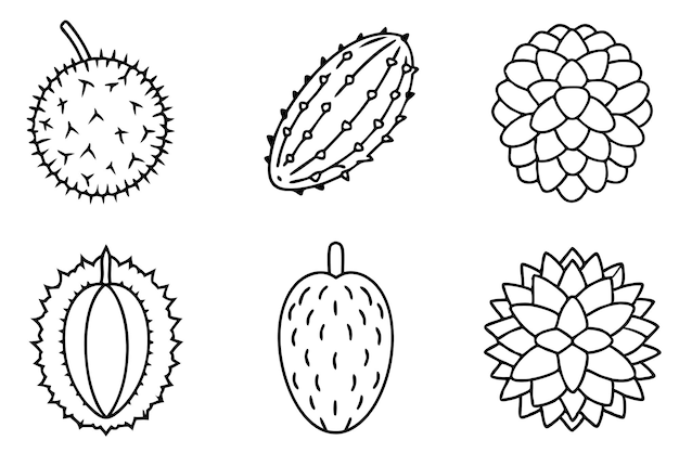 un dibujo de línea de una piña con una línea de diferentes formas