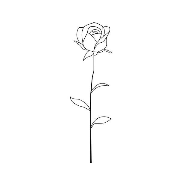 Vector dibujo de una línea rosa de jardín con hojas esbozo dibujado a mano conjunto de flores ilustración vectorial