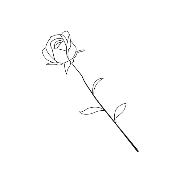 Vector dibujo de una línea rosa de jardín con hojas esbozo dibujado a mano conjunto de flores ilustración vectorial