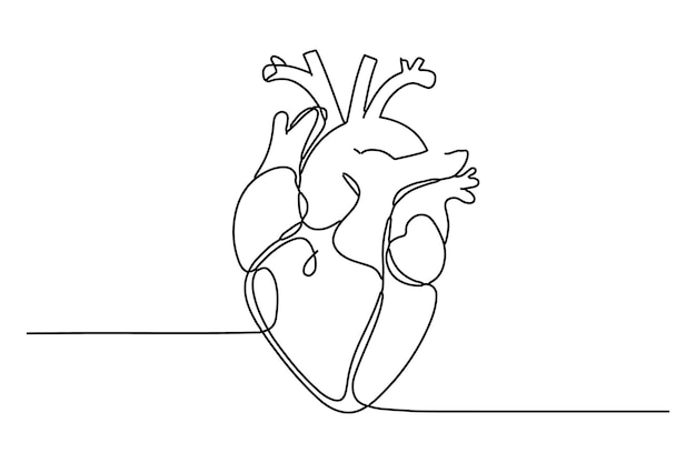 Dibujo de línea única de la anatomía del corazón humano