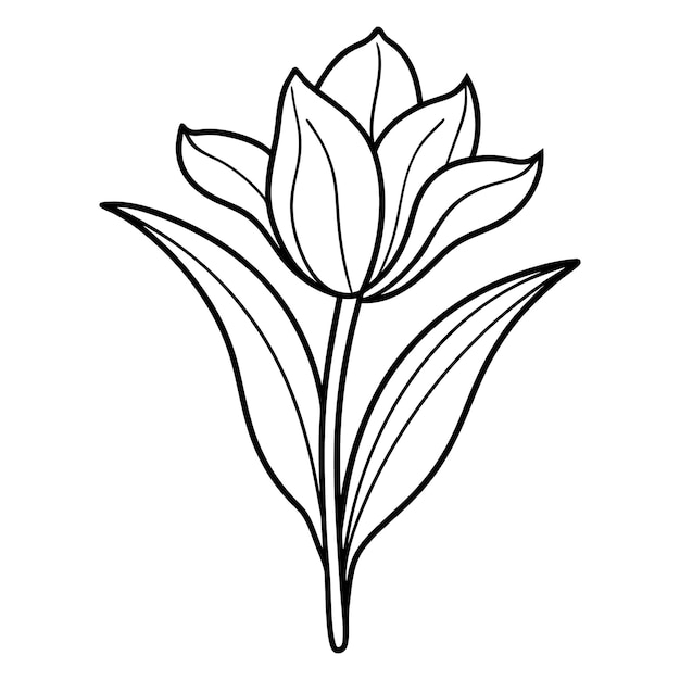 Un dibujo lineal de una flor.