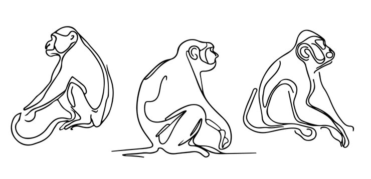 Un dibujo lineal de monos en diferentes poses.
