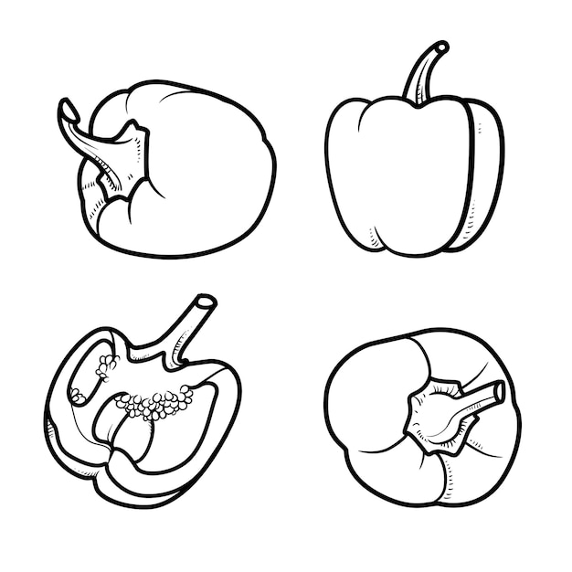 Dibujo lineal de pimientos dulces sobre fondo blanco