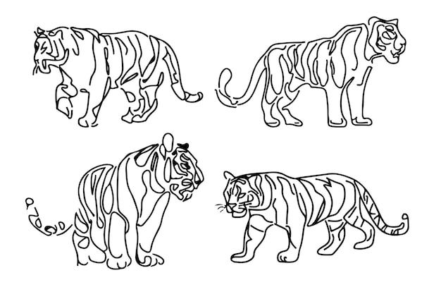 Un dibujo lineal de tigres sobre un fondo blanco.