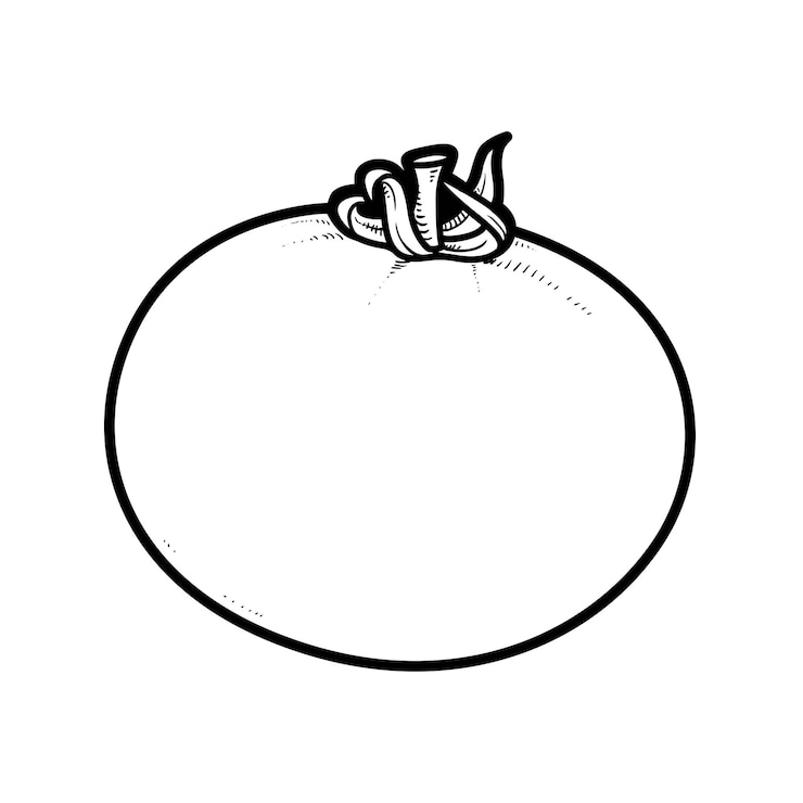 Vector dibujo lineal de tomate jugoso grande sobre fondo blanco
