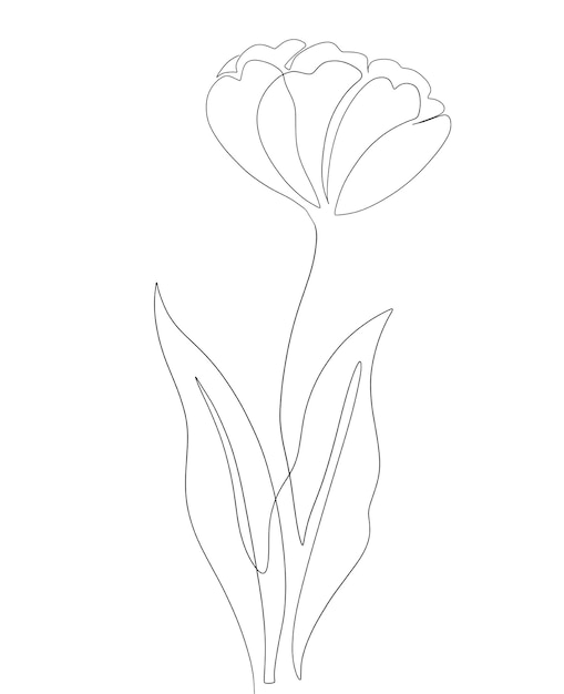 Un dibujo lineal de un tulipán.