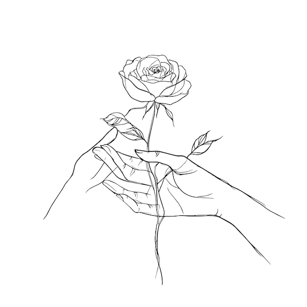 Dibujo de líneas minimalistas de manos sosteniendo una rosa