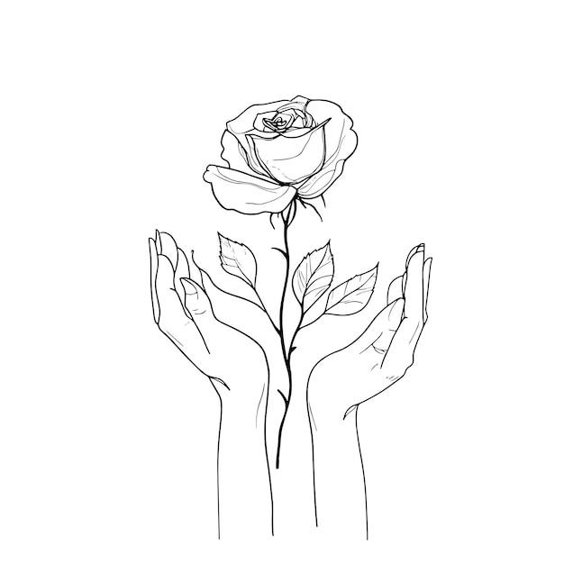 Dibujo de líneas minimalistas de manos sosteniendo una rosa