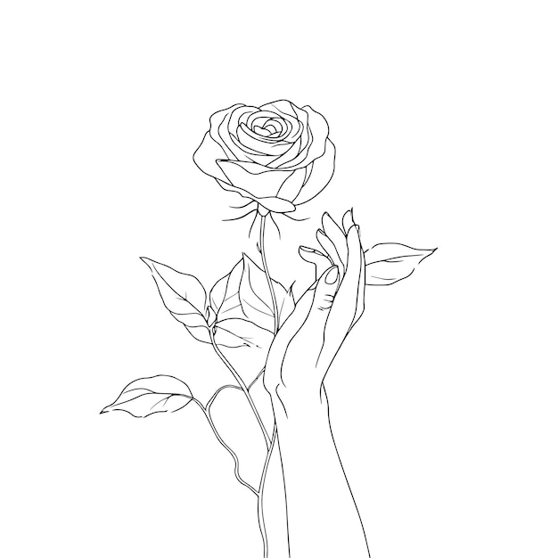 Dibujo de líneas minimalistas de manos sosteniendo una rosa