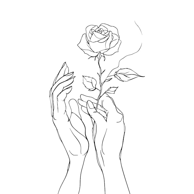 Dibujo de líneas minimalistas de manos sosteniendo una rosa