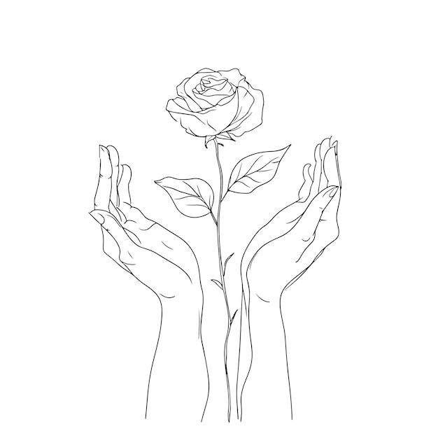 Dibujo de líneas minimalistas de manos sosteniendo una rosa