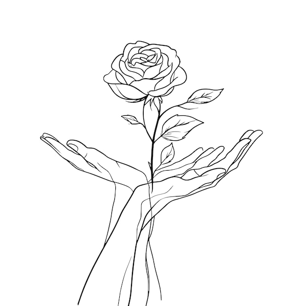 Dibujo de líneas minimalistas de manos sosteniendo una rosa