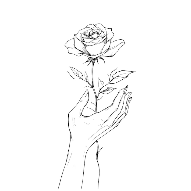 Dibujo de líneas minimalistas de manos sosteniendo una rosa