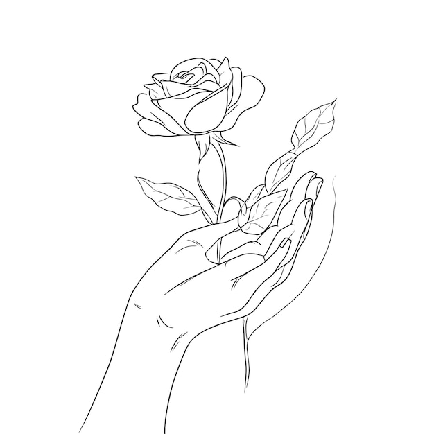 Dibujo de líneas minimalistas de manos sosteniendo una rosa