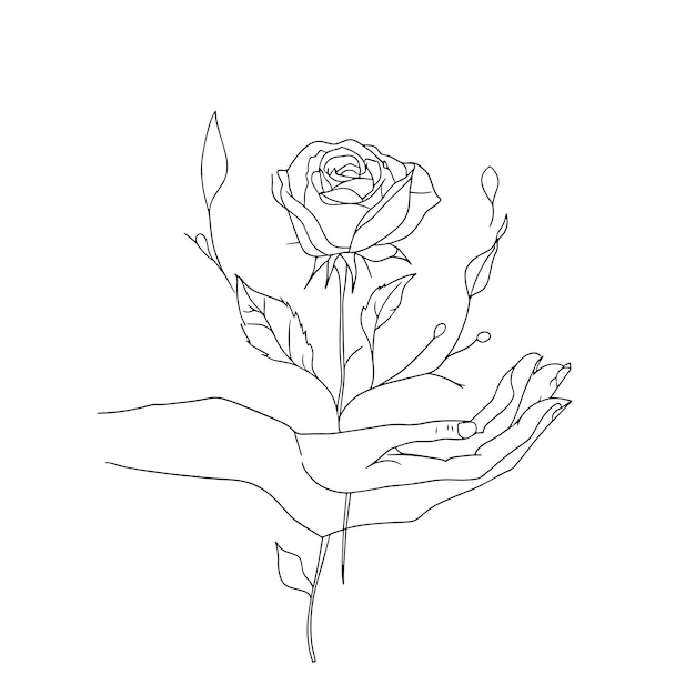 Dibujo de líneas minimalistas de manos sosteniendo una rosa