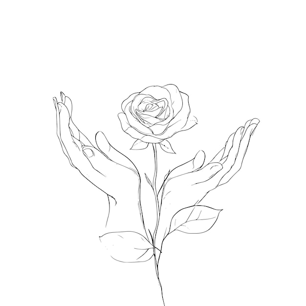 Dibujo de líneas minimalistas de manos sosteniendo una rosa