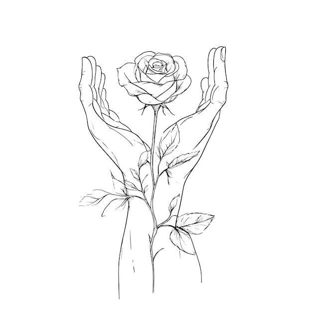 Dibujo de líneas minimalistas de manos sosteniendo una rosa