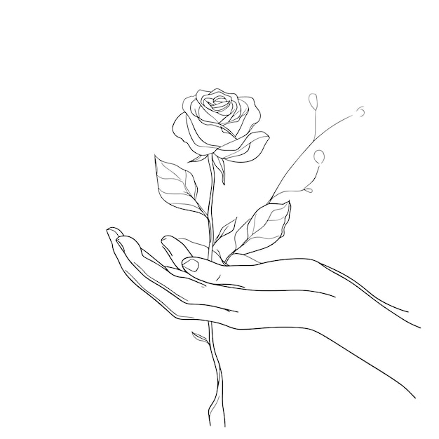 Dibujo de líneas minimalistas de manos sosteniendo una rosa