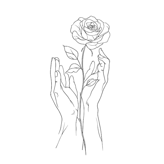 Dibujo de líneas minimalistas de manos sosteniendo una rosa