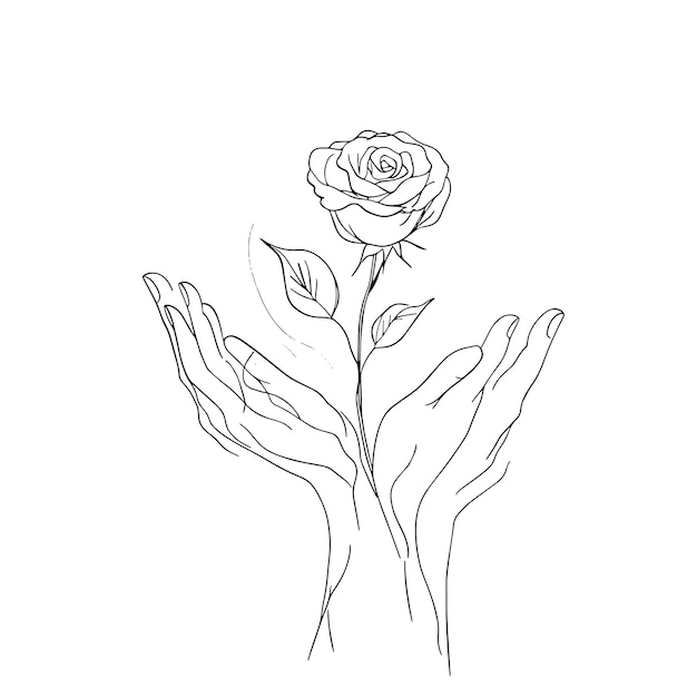 Dibujo de líneas minimalistas de manos sosteniendo una rosa