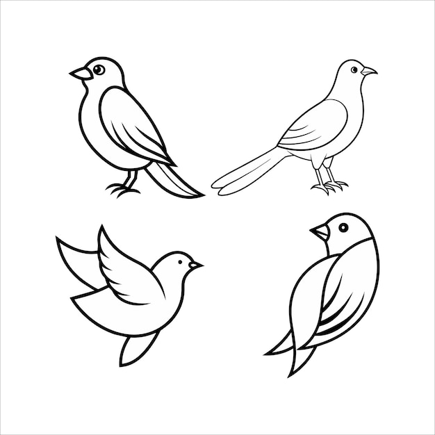 dibujo de líneas de pájaros