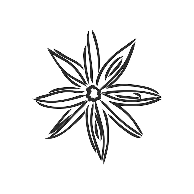 Dibujo de líneas vectoriales anís estrellado hecho a mano aislado sobre fondo blanco bocetos de especias anís