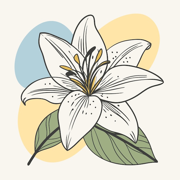 un dibujo de un lirio blanco con un fondo azul y amarillo