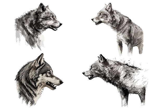 Un dibujo de un lobo con la cabeza girada hacia la izquierda.