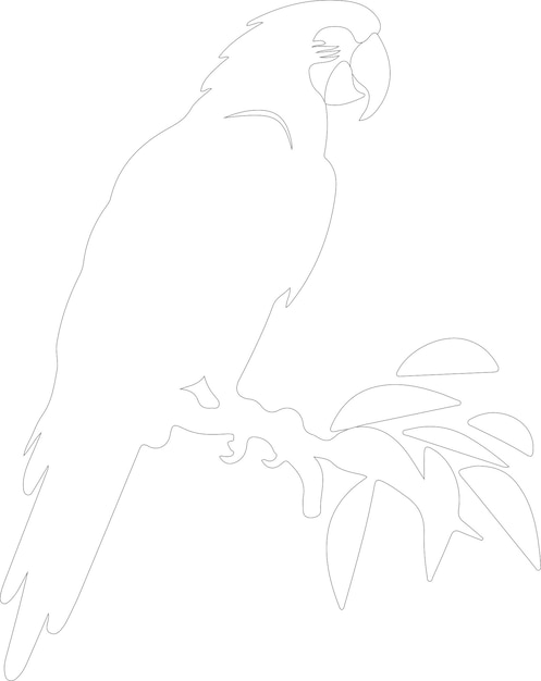 un dibujo de un loro en un fondo blanco