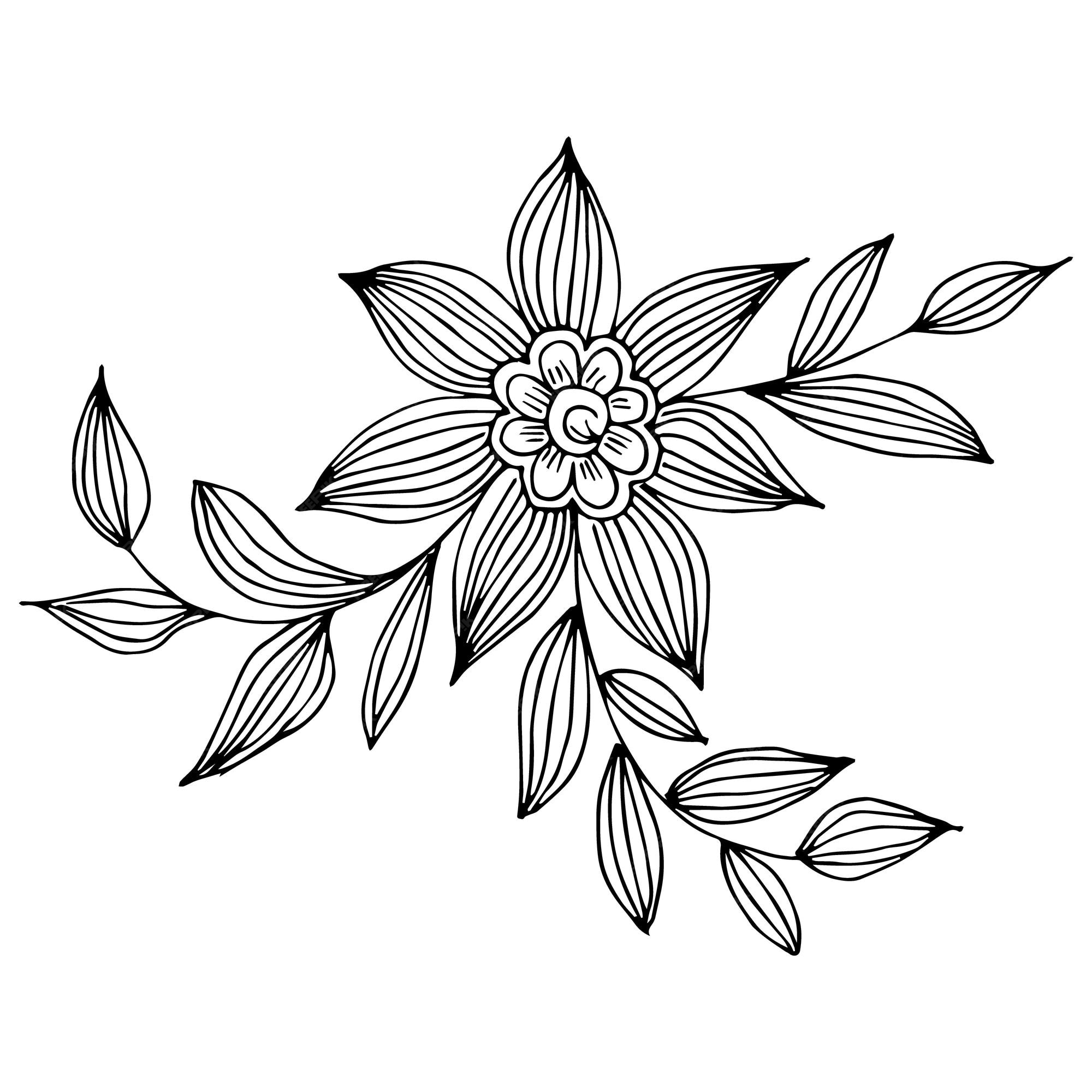 Dibujo a mano alzada de flores y hojas en blanco y negro dibujo vectorial  para un libro para colorear | Vector Premium