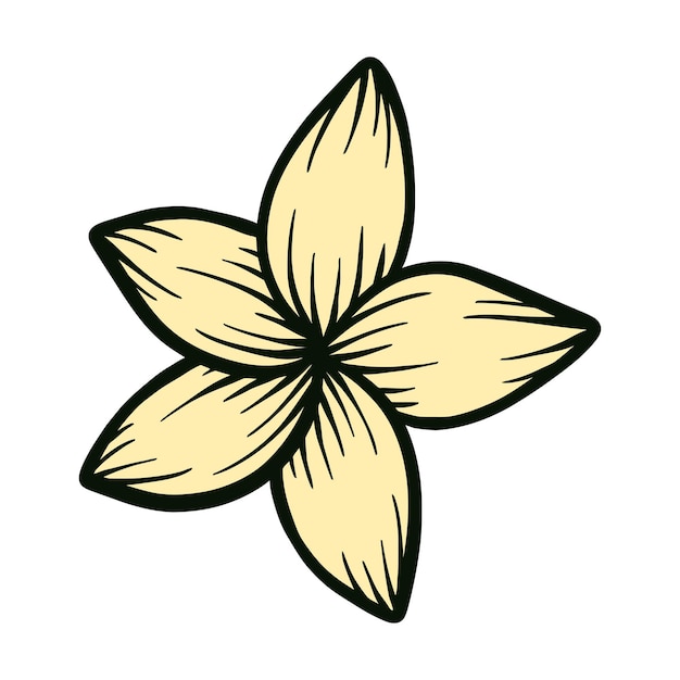 Dibujo a mano alzada hojas tropicales flamenco flor floral hoja hojas ilustración vectorial