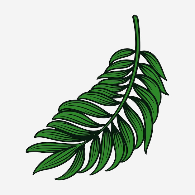 dibujo a mano alzada vector hoja botánica hojas floral floral tropical ilustración