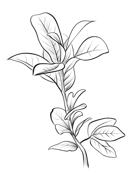 Dibujo a mano en blanco y negro de una rama del vector prunus laurocerasus