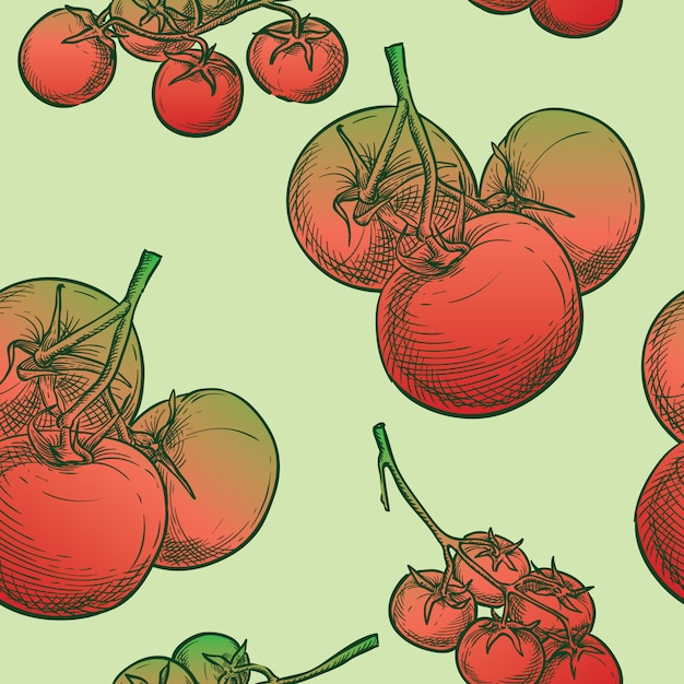 Dibujo de la mano del bosquejo del vector inconsútil del tomate