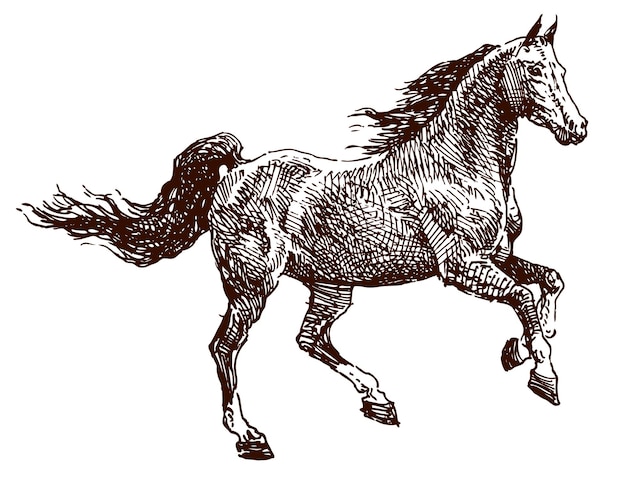 Dibujo a mano de un caballo de pura sangre galopante fuerte y hermoso boceto vectorial aislado en blanco