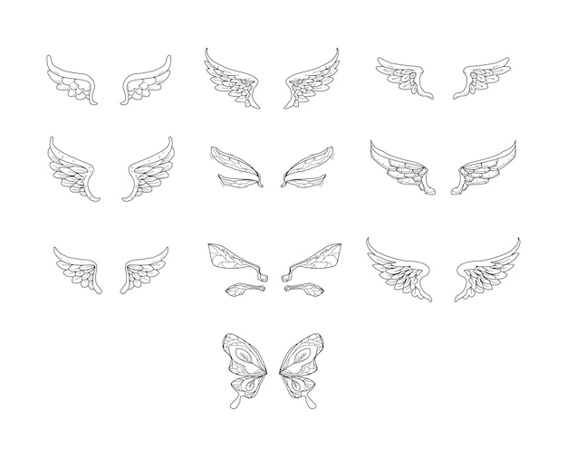 Dibujo a mano de la colección Wing