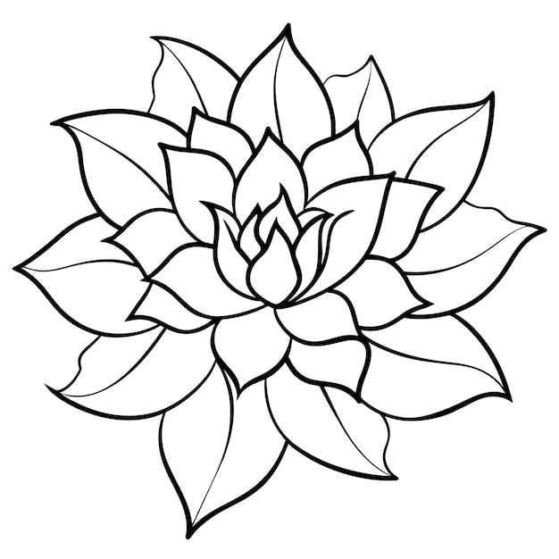 Dibujo a mano y dibujo floral decorativo.