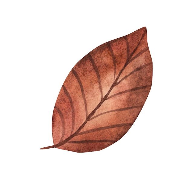 Dibujo a mano de dibujos animados de hojas de otoño Ilustración en acuarela