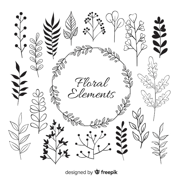 Dibujo a mano de elementos de decoración floral