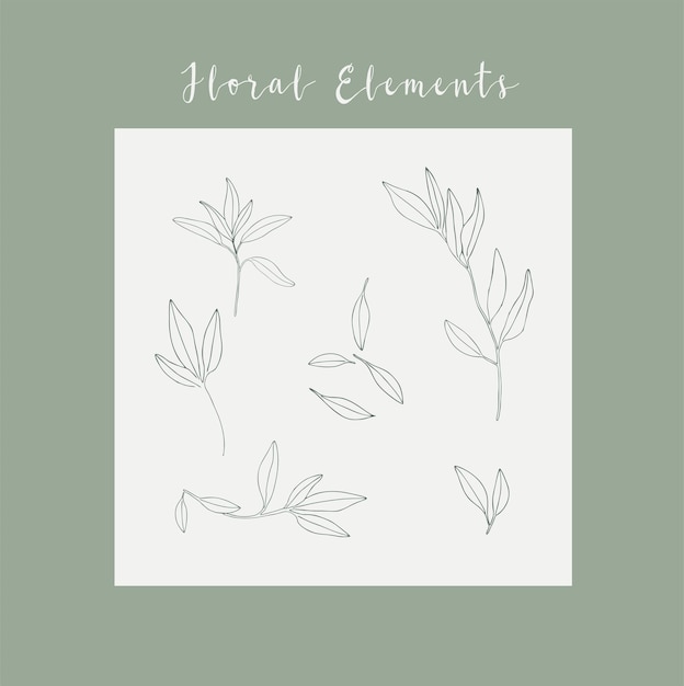 Dibujo a mano de elementos de decoración floral