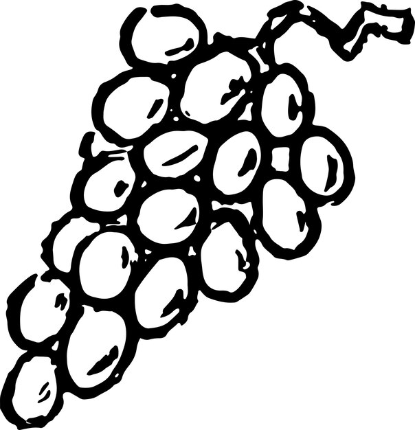 dibujo a mano de la fruta de las uvas