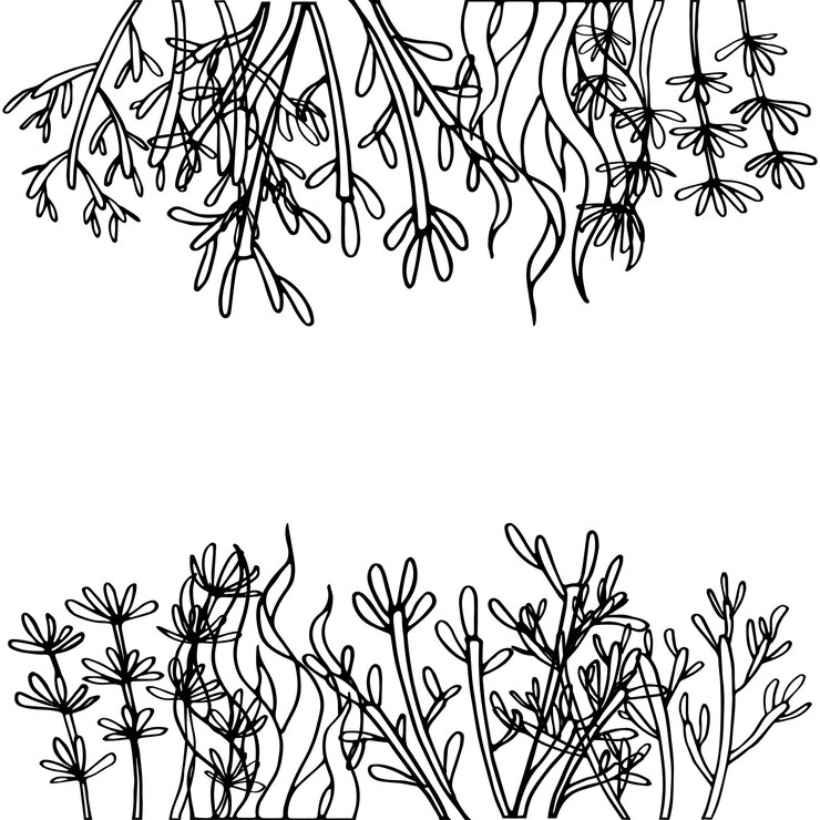 Vector dibujo a mano de la ilustración de plantas marinas decorativas patrón de fondo y vector de marco de borde