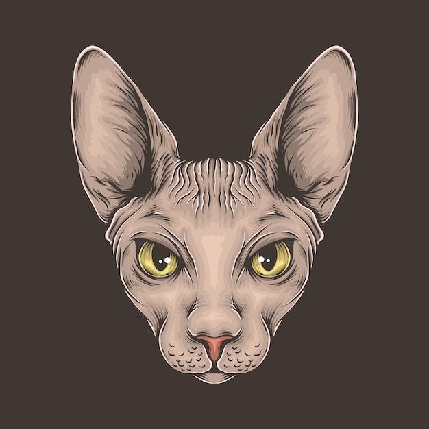 Vector dibujo a mano ilustración de vector de cabeza de gato sphynx vintage