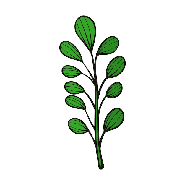 Dibujo a mano ilustración vectorial flor botánica hoja floral hojas elemento