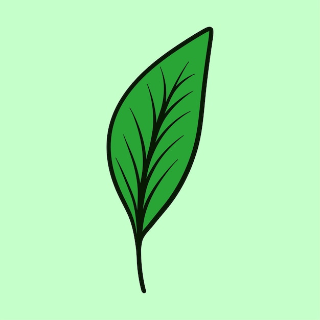 dibujo a mano ilustración vectorial flor botánica hojas florales hoja