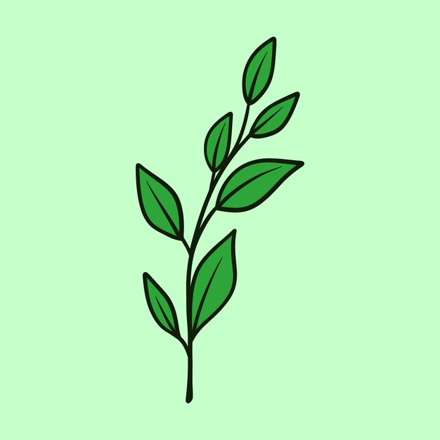 dibujo a mano ilustración vectorial flor botánica hojas florales hoja