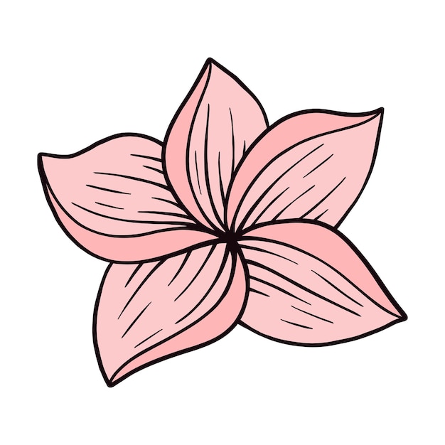 Dibujo a mano Ilustración vectorial Logotipo tropical hoja hojas flor floral mostera elemento tropical